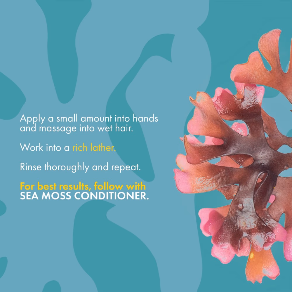 Mielle Sea Moss Anti-Shedding Conditioner 235ml 4