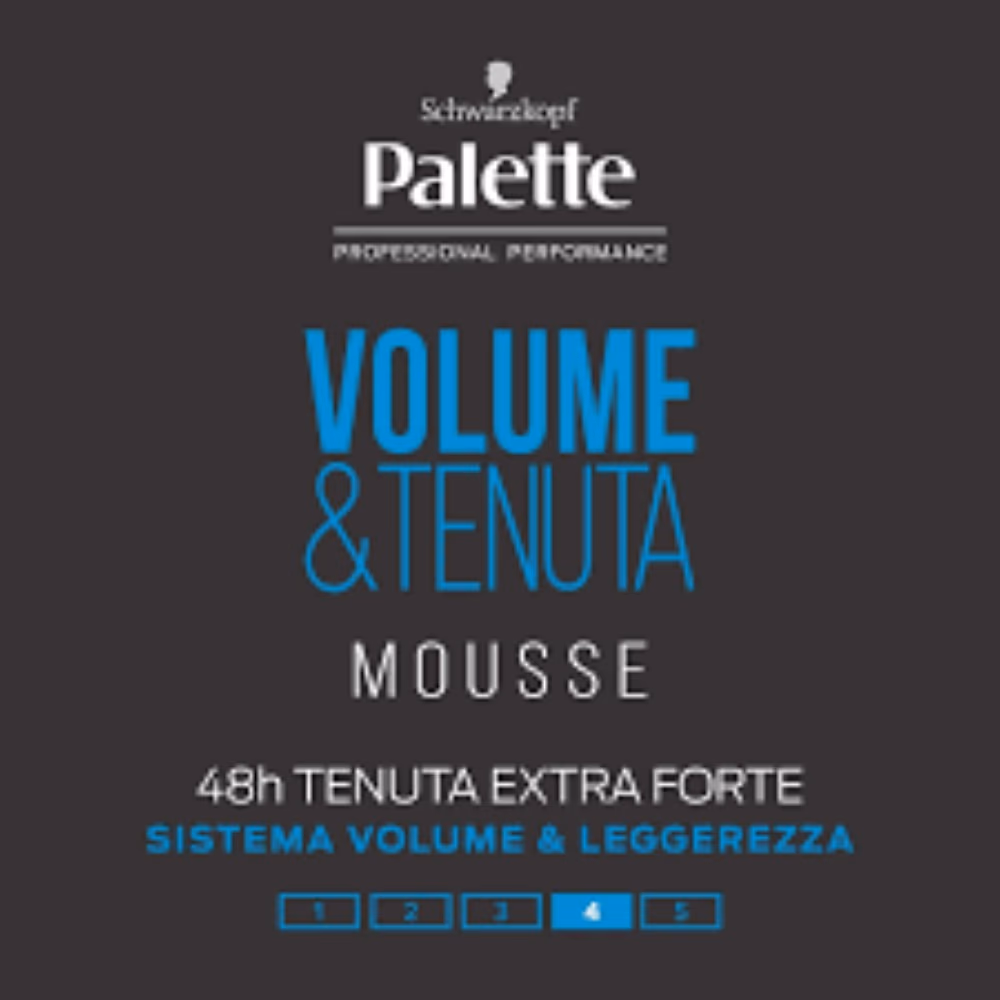 Schwarzkopf Palette Tenuta Mousse 250ml 2
