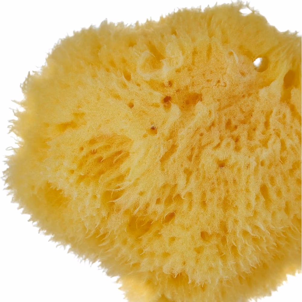 Beautytime BT219 Cosmetic Sea Sponge 2