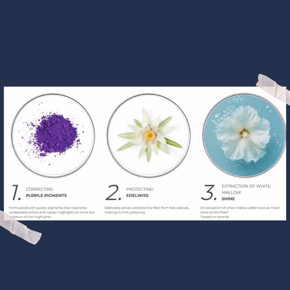 Phyto Violet No Yellow Shampoo 250ml 3
