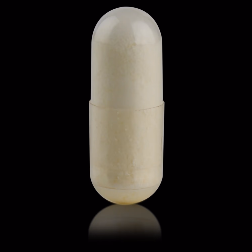 Biogena GABA 500 -90 Capsules 3