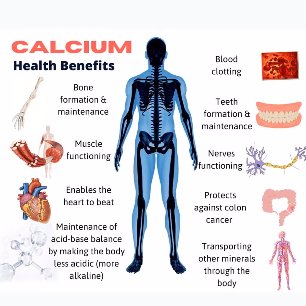 21st Century Calcium 600 + Vitamn D - Bone & Joint Health Supplement (75 Tablets) 2