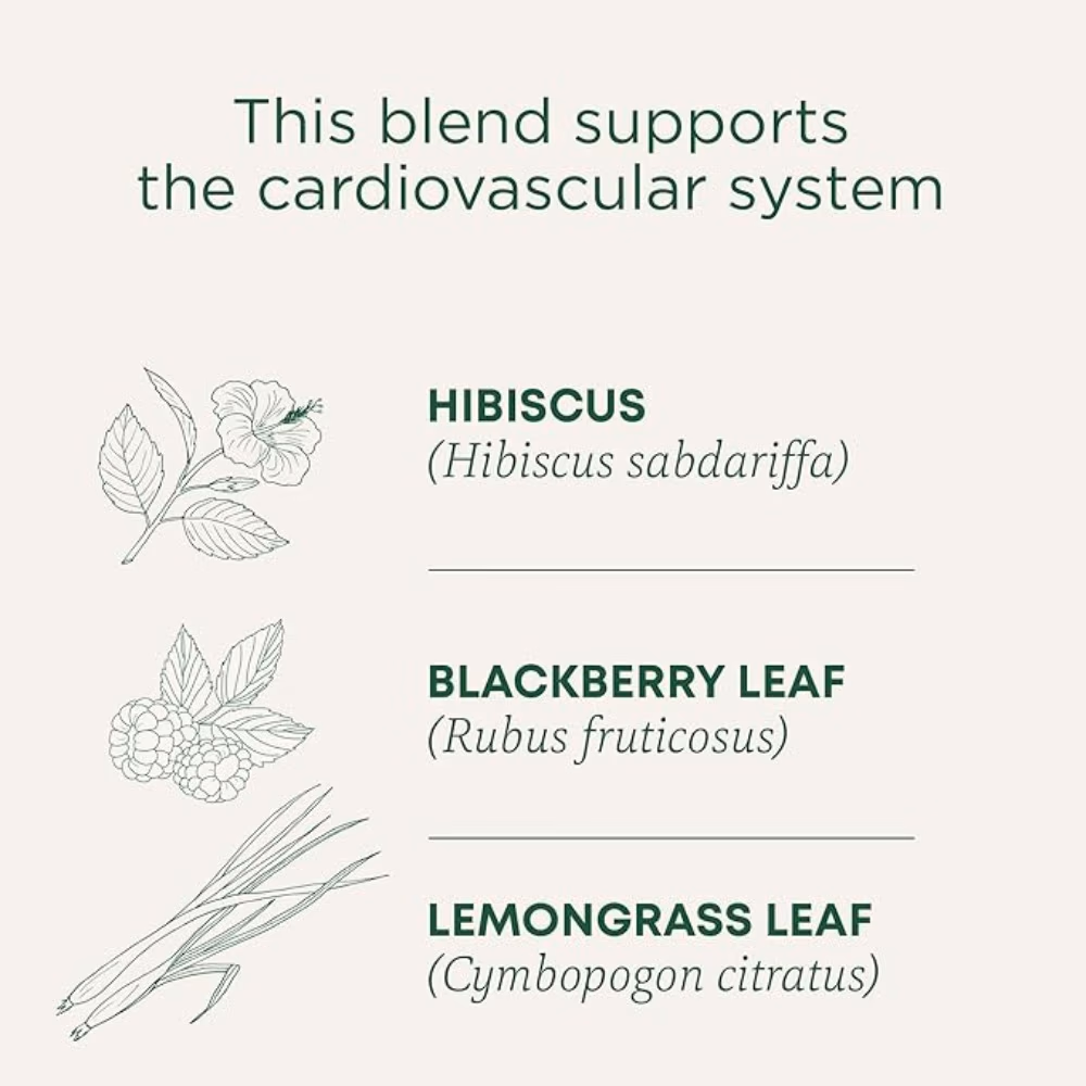 Traditional Organic Hibiscus Tea Bags 16s  2