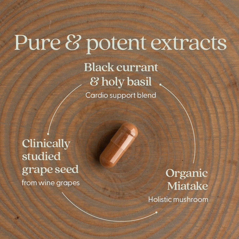 New Chapter Blood Pressure Balance - 30 Capsules 3