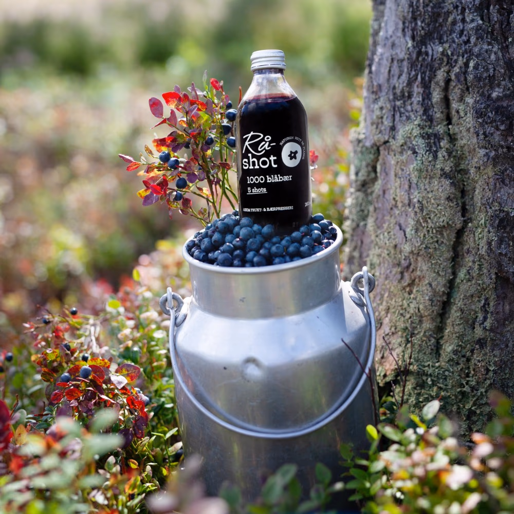 Askim Raw Blueberry Shot 260ml 2