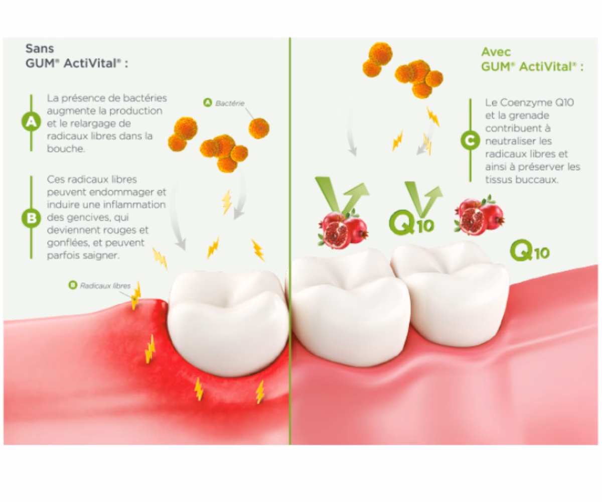 GUM ActiVital Mouthwash 300ml - With Coenzyme Q10 and LAE 5