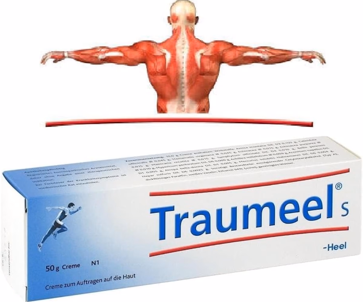 Heel Traumeel Cream 50 Gm 3