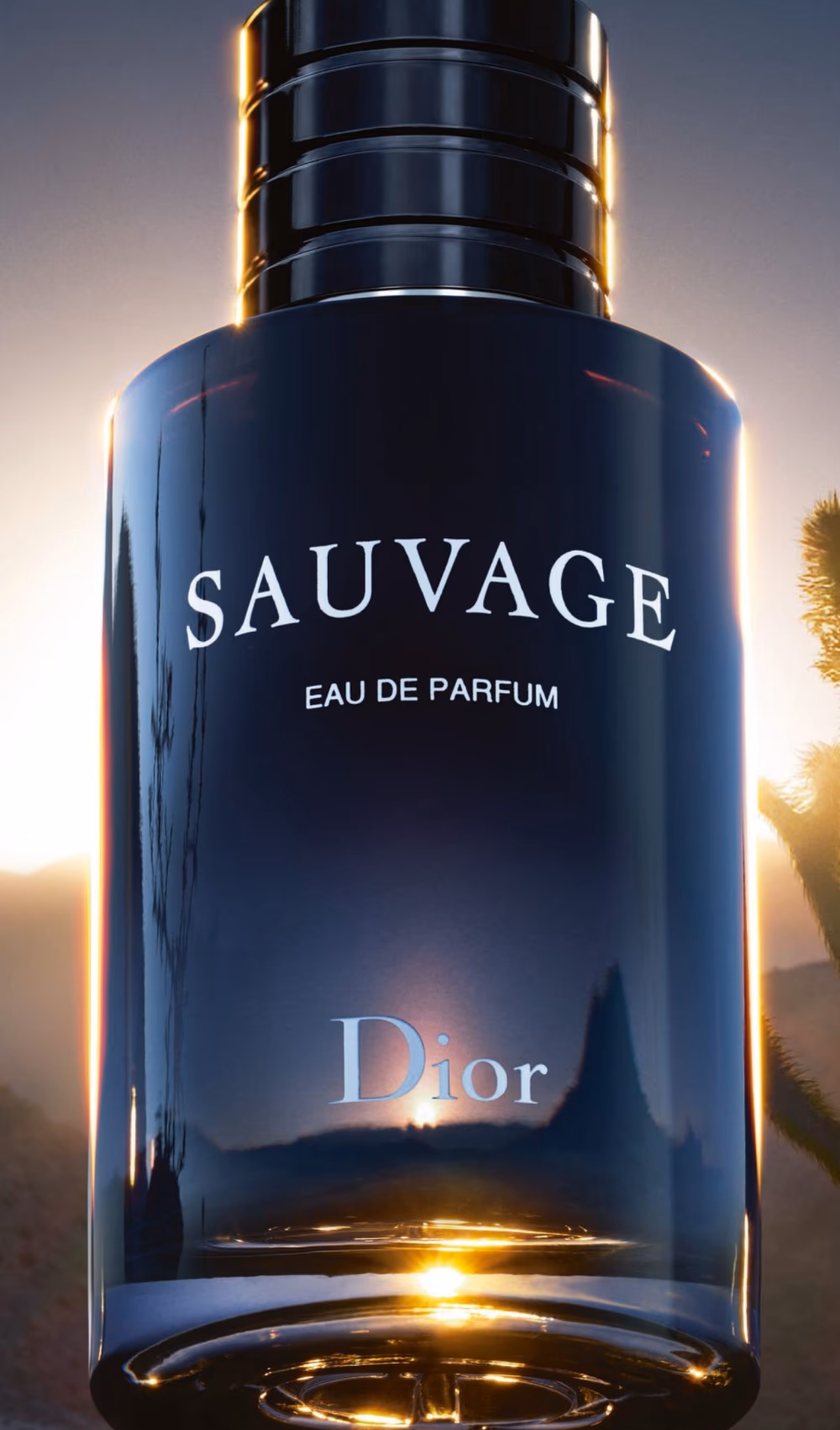 Dior Sauvage Eau de Parfum 60ml 5
