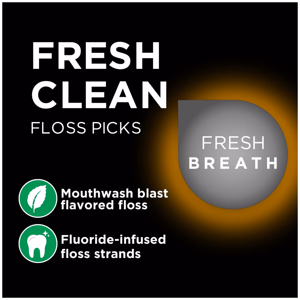  DenTek Fresh Clean Freshens Breath Floss Picks 75s 4