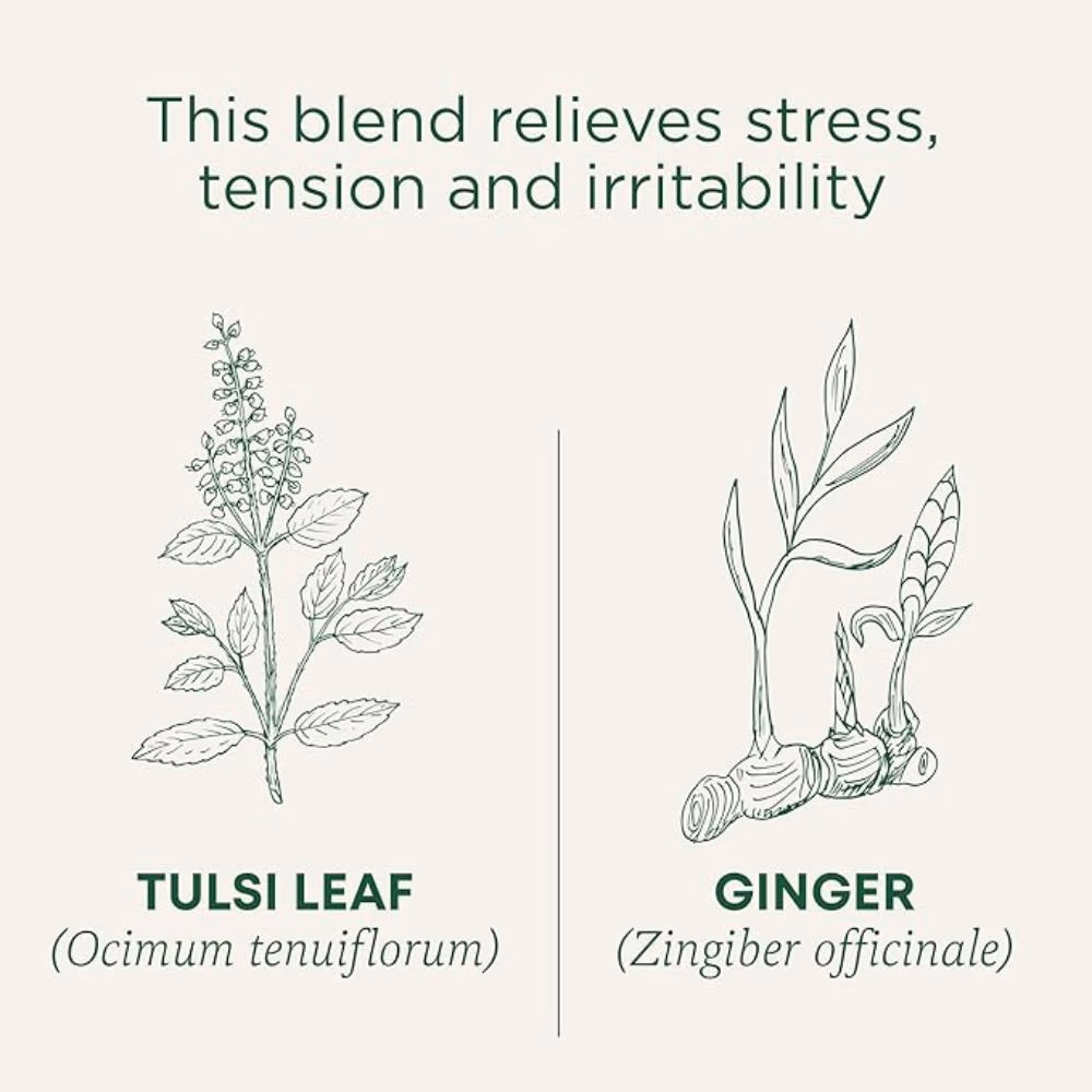 Traditional Organic Tulsi & Ginger Tea Bags 16s 3