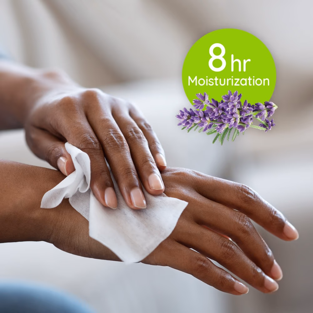 Wet Ones Antibacterial Hand Wipes 20s 3