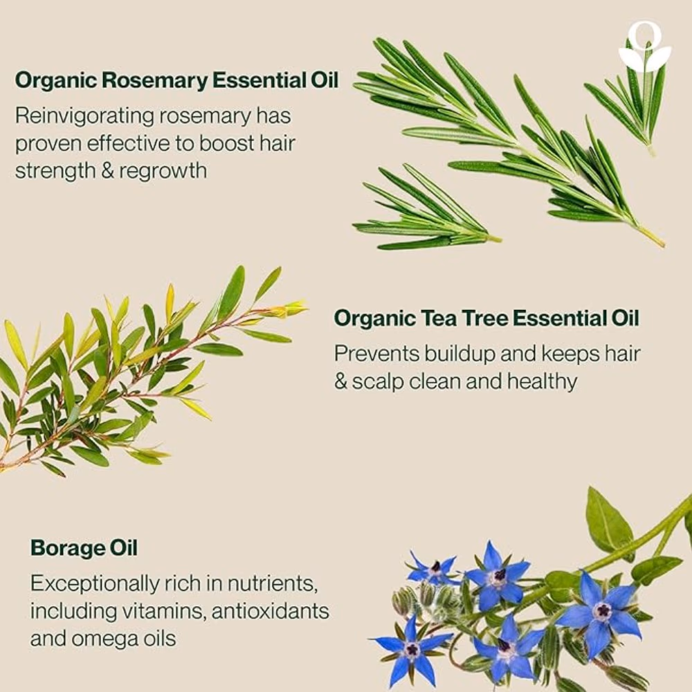 Balmonds Hair & Scalp Oil Tea Tree Rosemary 50ml 2