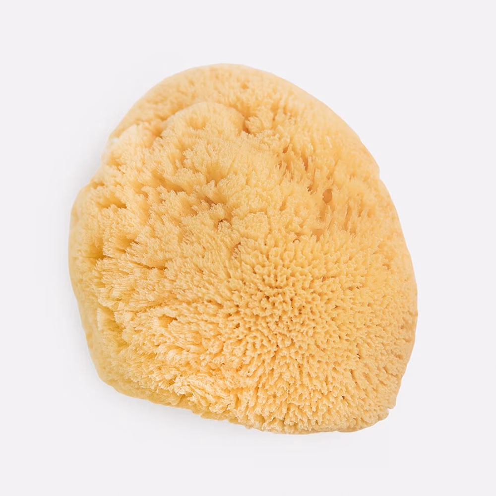 BeautyTime BT337 Natural Sponge 2