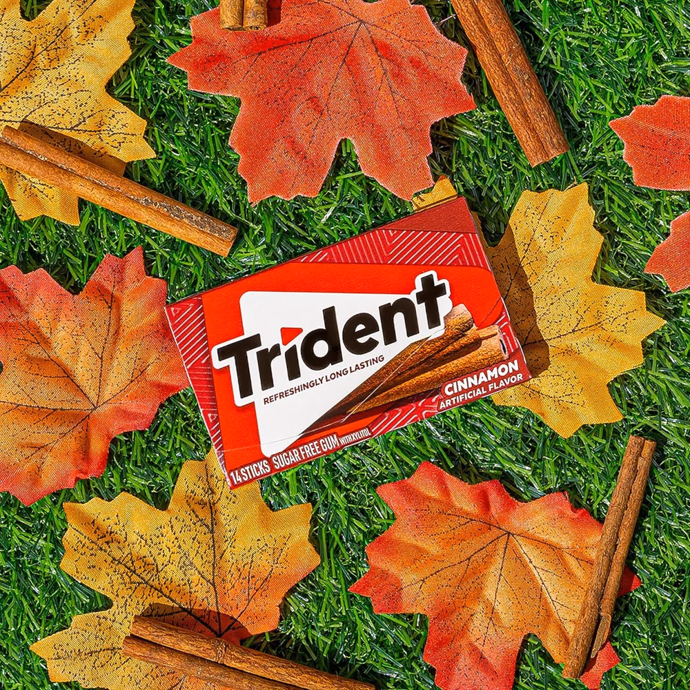 Trident Chewing Gum Cinnamon 14s  4