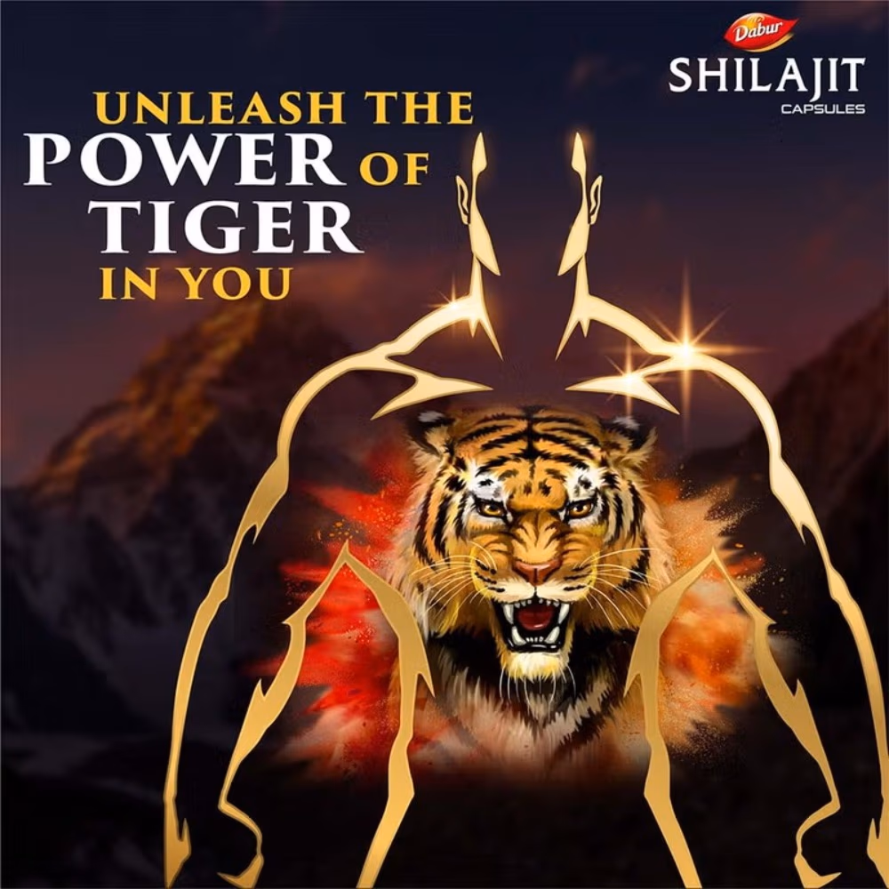 Dabur Shilajit 30 Caps 2
