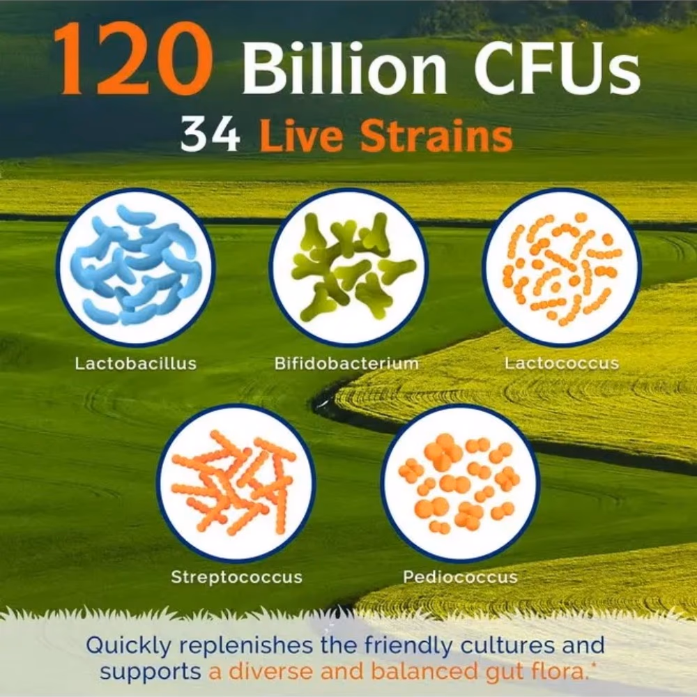 Innate Probiotics 120 Billion 3