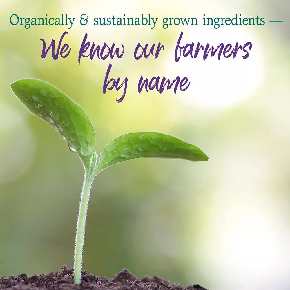 Garden of Life Raw Organic Alkalizer & Detoxifier Powder 30 Servings 4