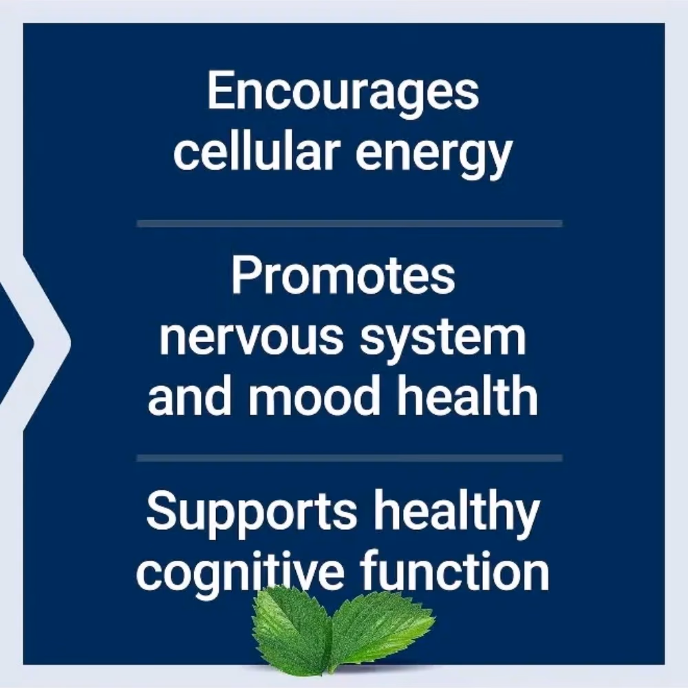 Life Extension Acetyl L-Carnitine 500mg- 100 Vegetarian Capsules 2
