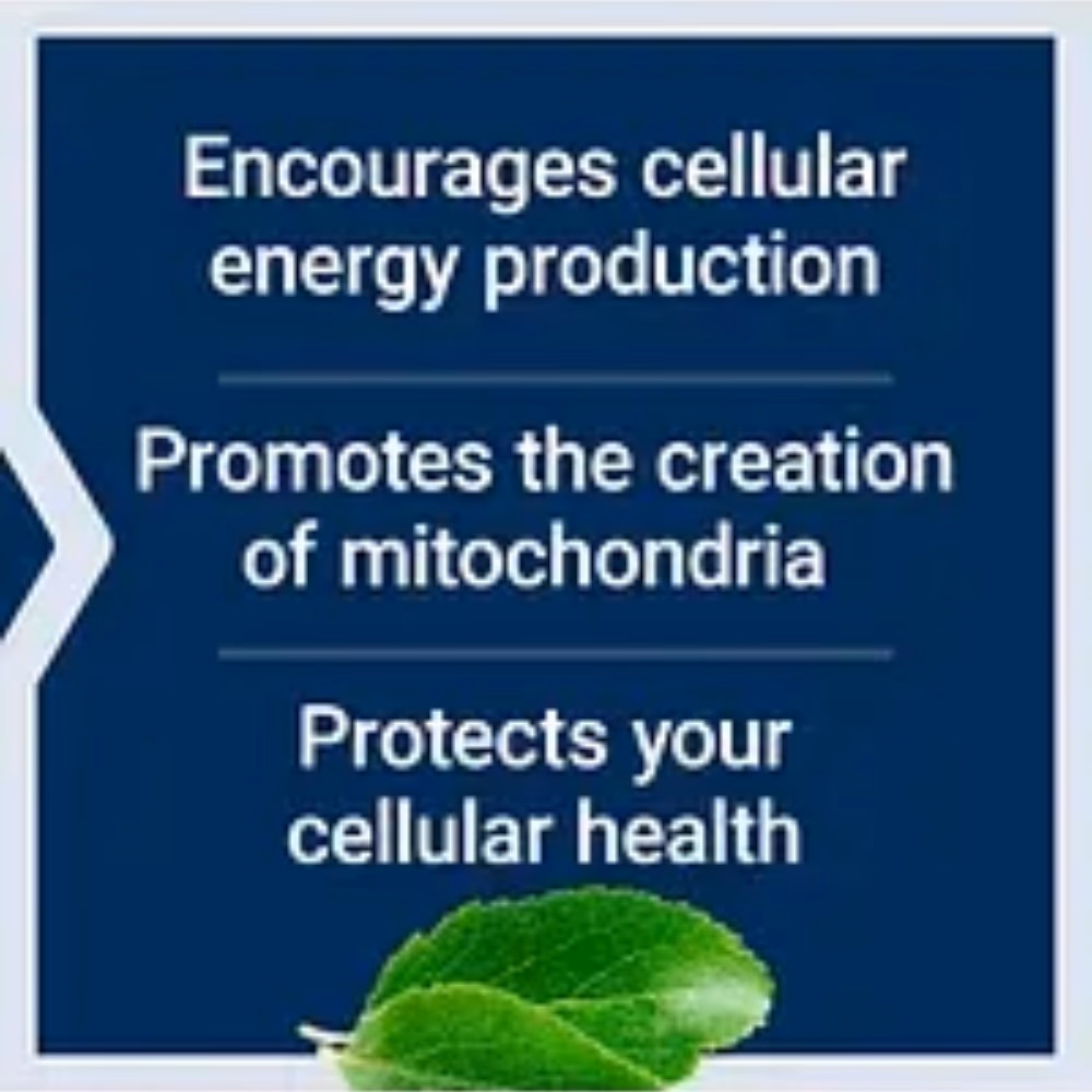Life Extension Mitochondrial Energy Optimizer 120 Caps 2