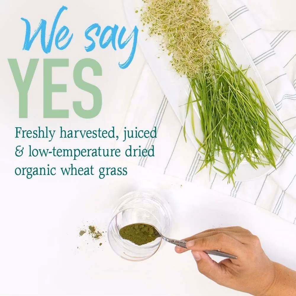 Garden of Life Raw Organic Perfect Food Wheat Grass Juice 240GM - Stevia Free- Unflavoured 4