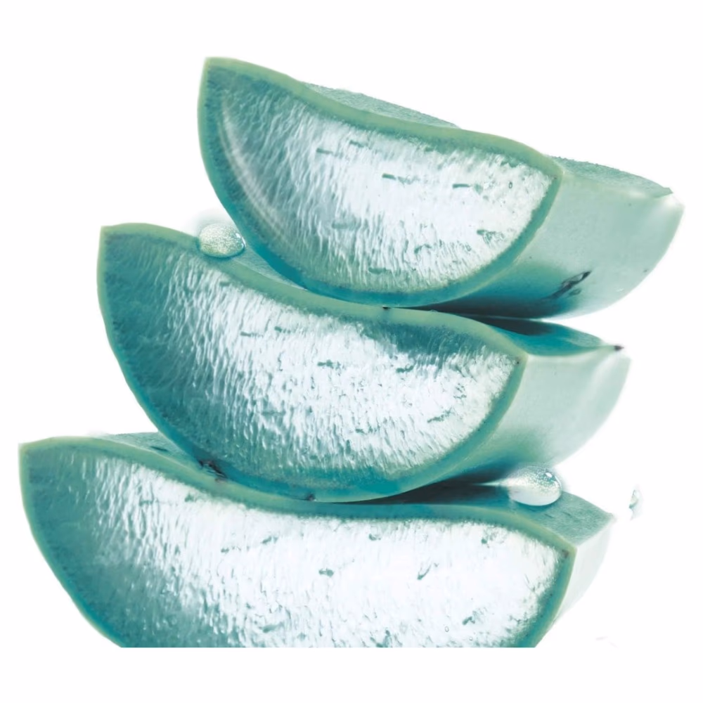 Garnier Hyaluronic Aloe Gel Wash All Skin 200ML 3