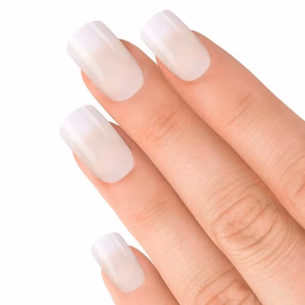 Elegant Touch French Pink 106 Nails 24s 3