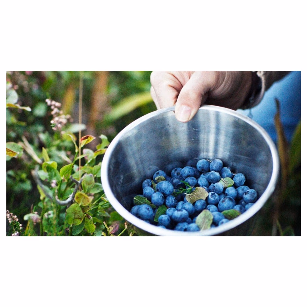 Natural Factors Bilberry 90s 3