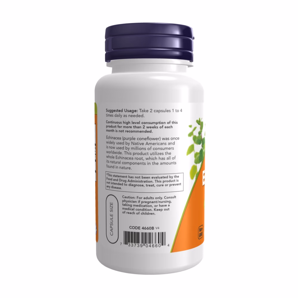 Now Echinacea 400mg 100 Veg Capsule 3
