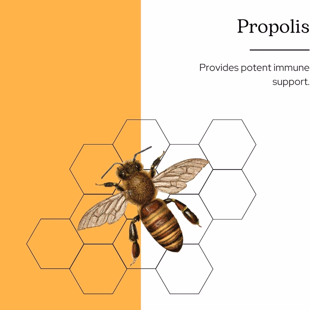 Eclectic Herb Propolis Immune Support 3