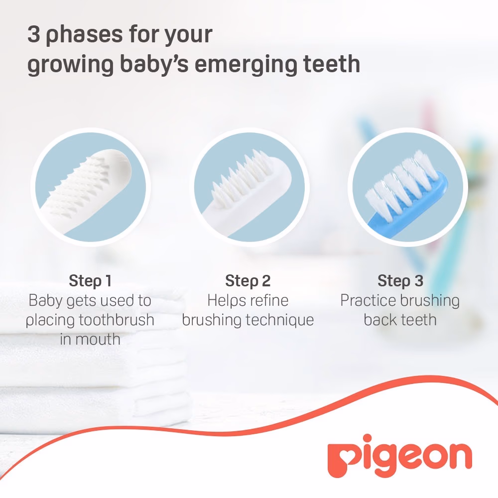 Pigeon Baby Training Toothbrush Set K892 2