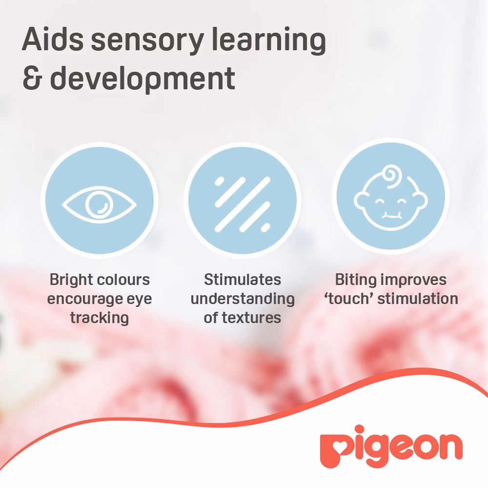 Pigeon Cooling Teether Circle 4+ Month 620 5