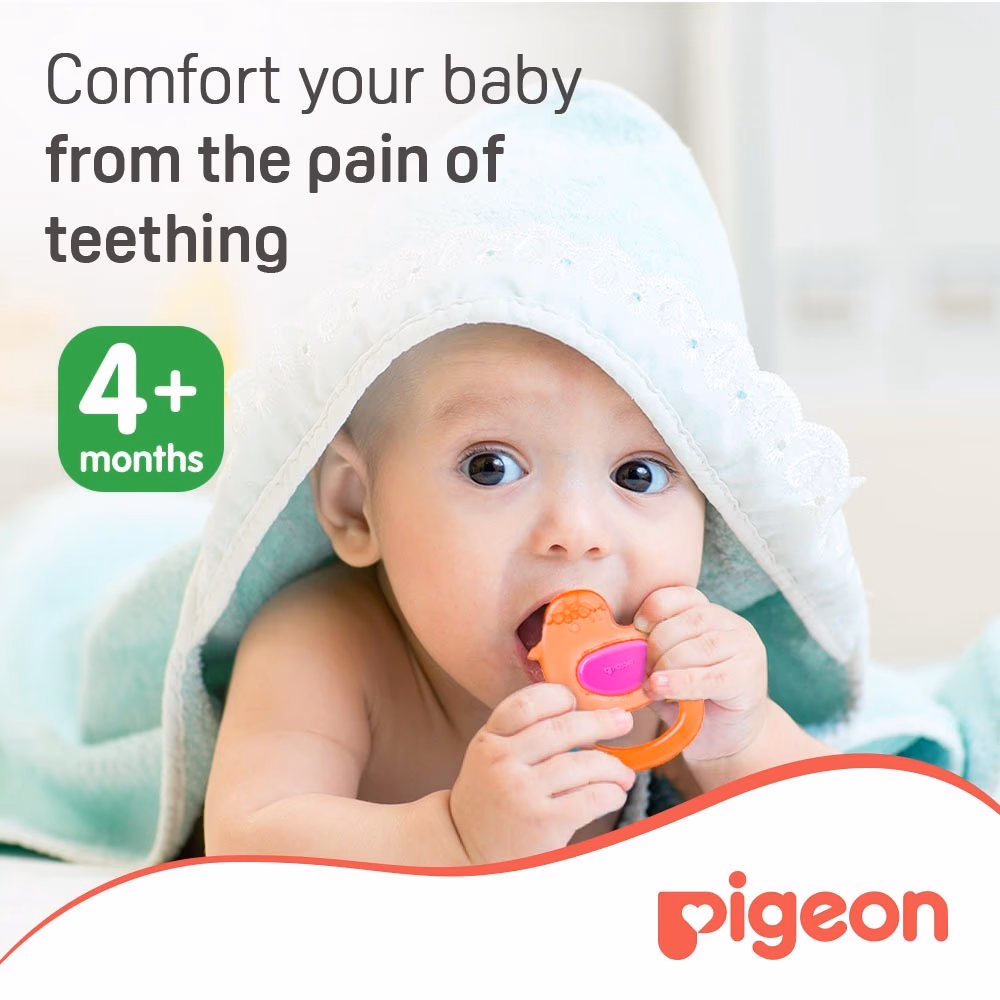 Pigeon Cooling Teether Duck 4+ Month 627 2