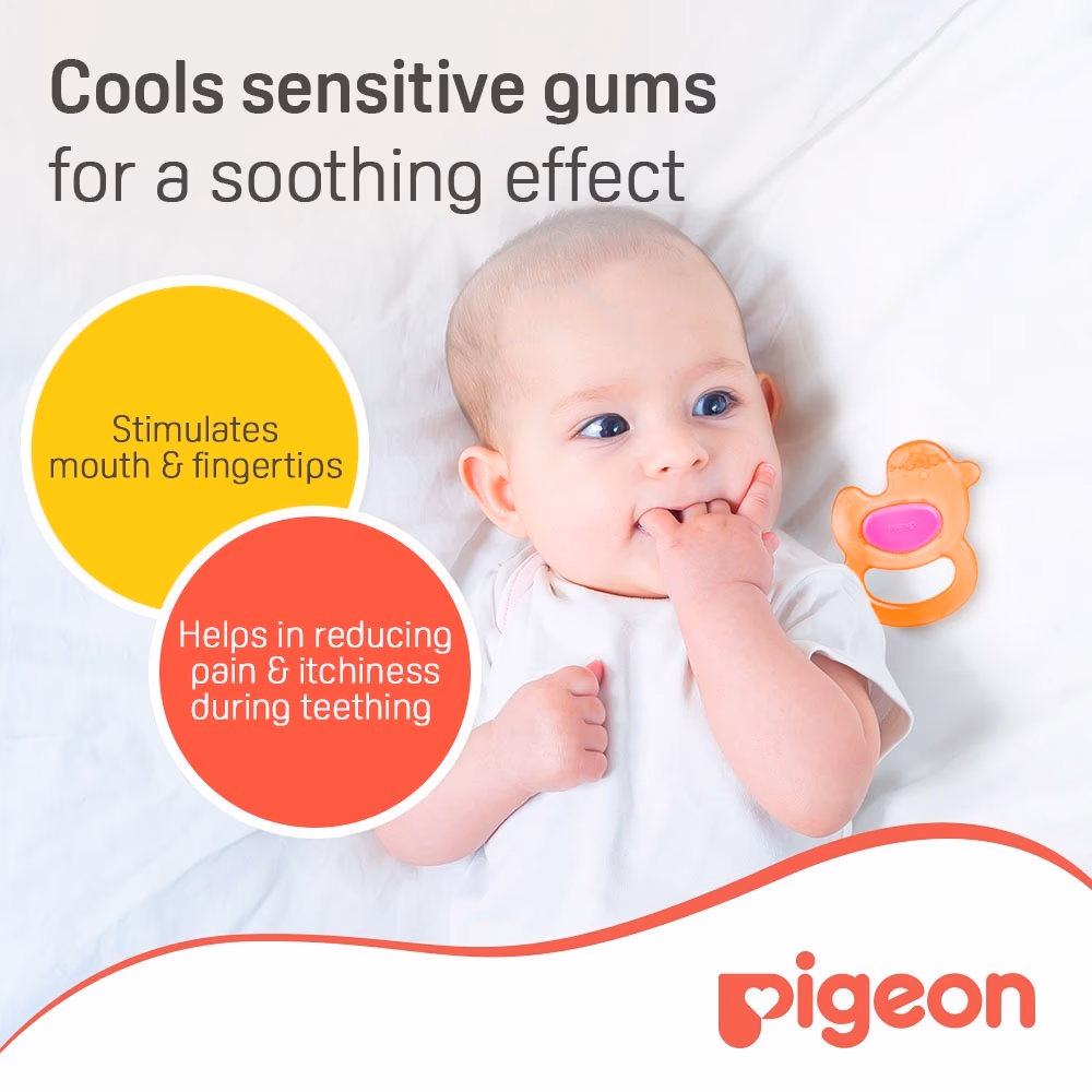 Pigeon Cooling Teether Duck 4+ Month 627 3