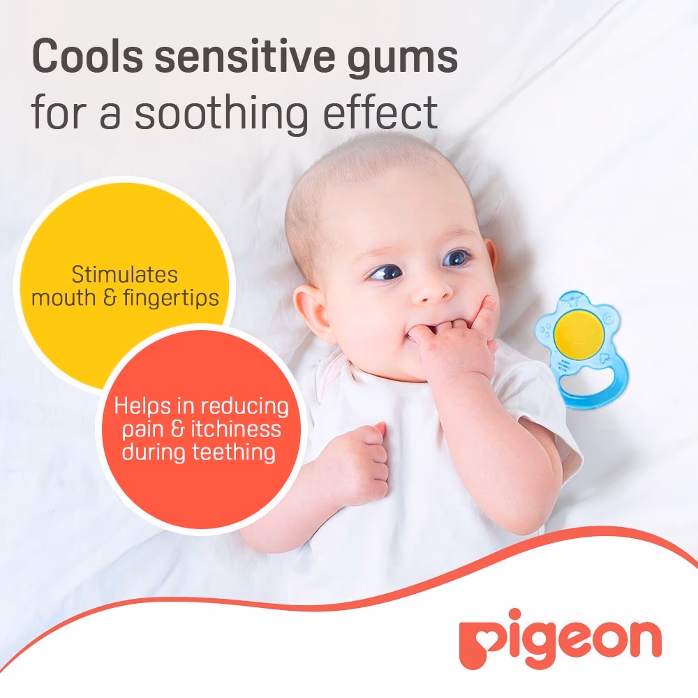 Pigeon Cooling Teether Flower 4+ Month 628 3