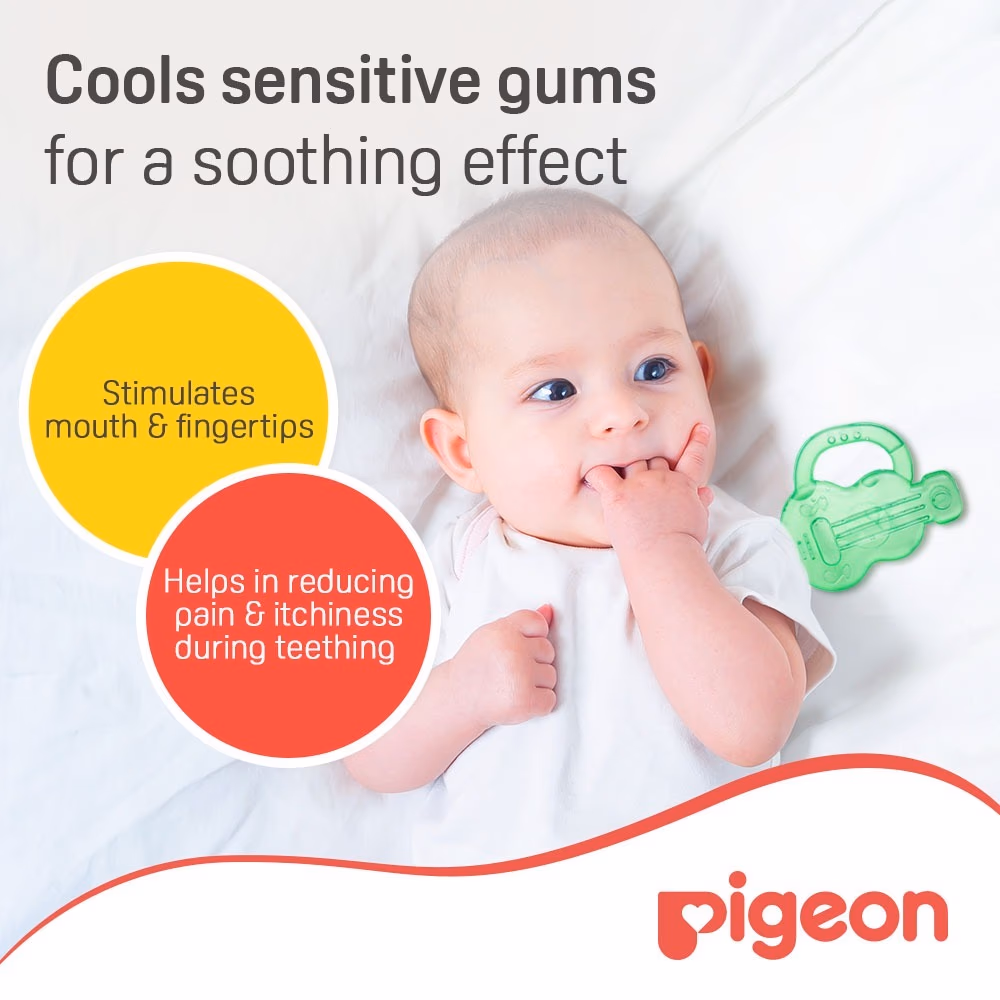 Pigeon Cooling Teether Guitar 4+ month 624 2
