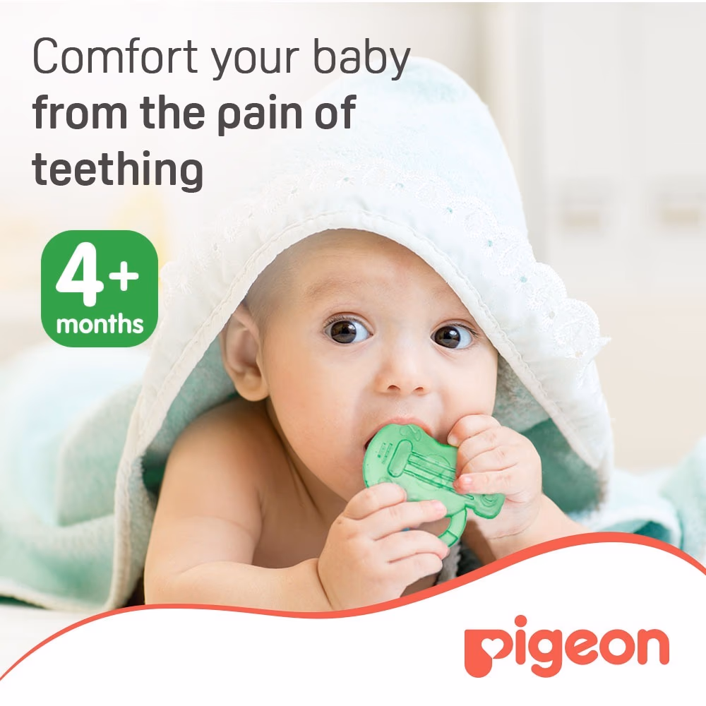 Pigeon Cooling Teether Guitar 4+ month 624 5