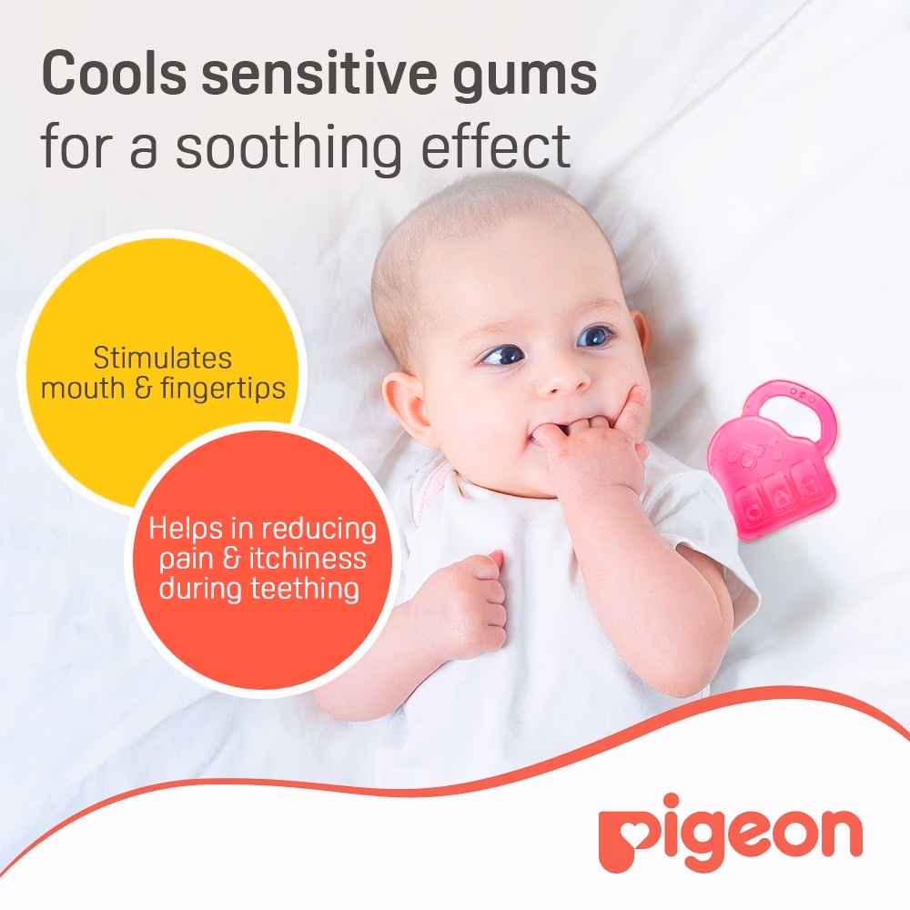 Pigeon Cooling Teether Piano 4+ Month 623 2