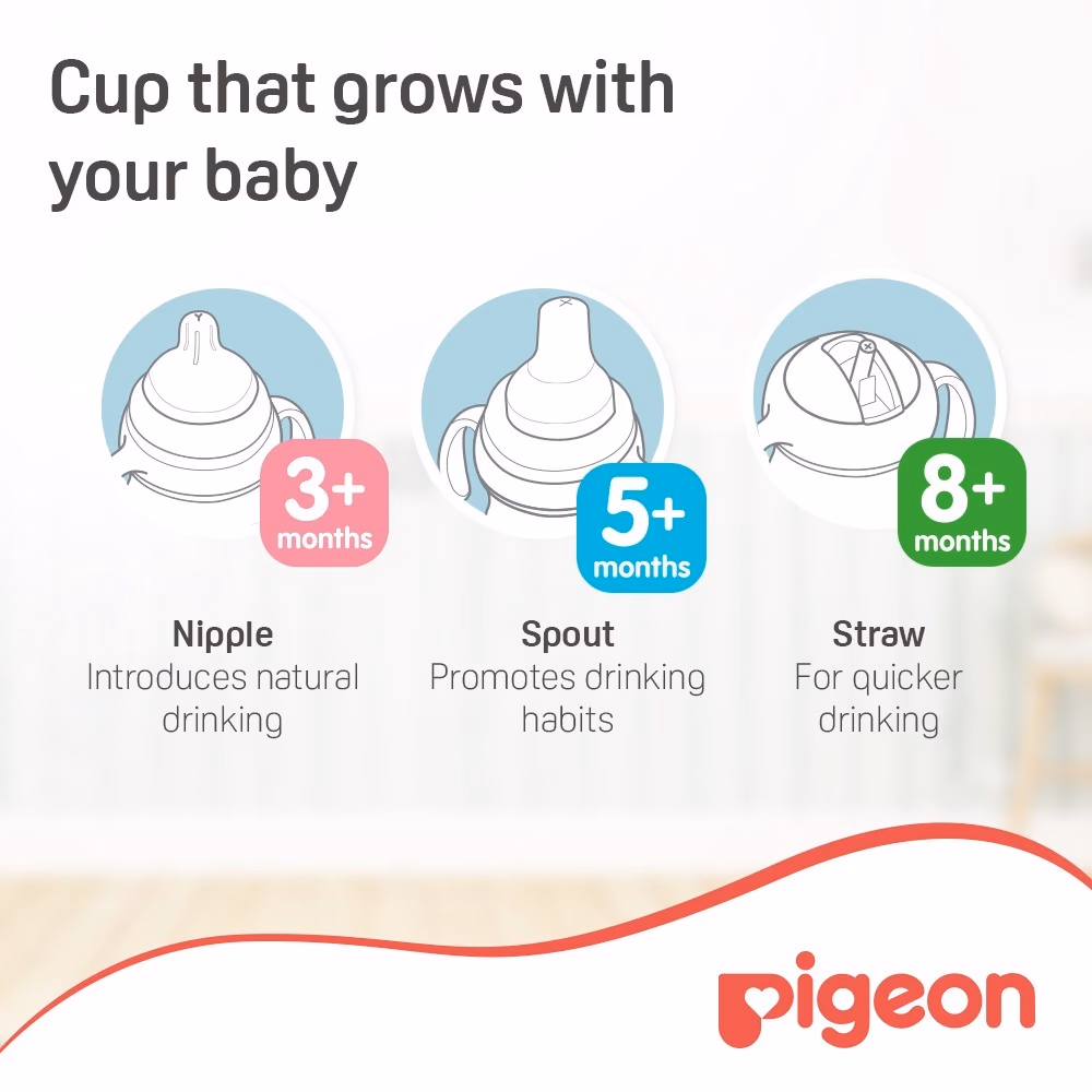 Pigeon MagMag All-In-One Set 2