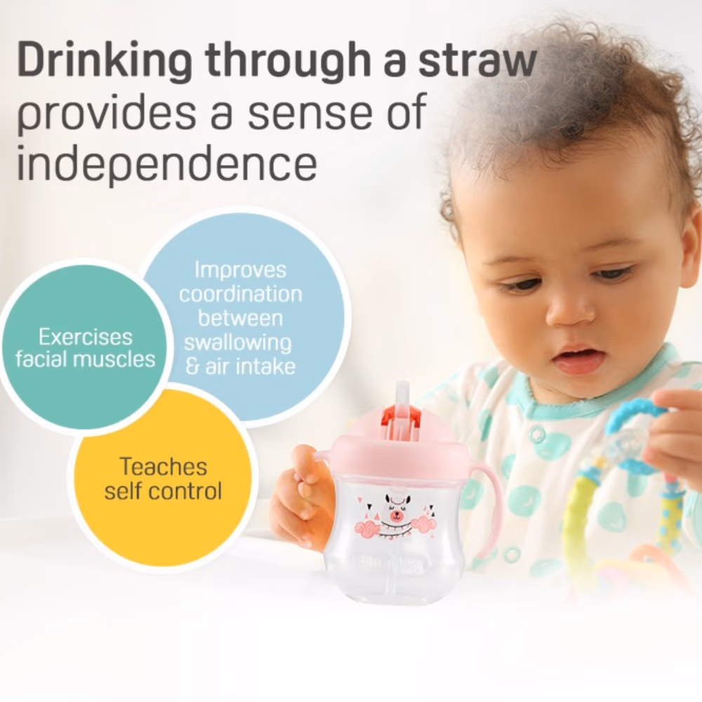 Pigeon MagMag Straw Cup Green Step 3 200ml 3