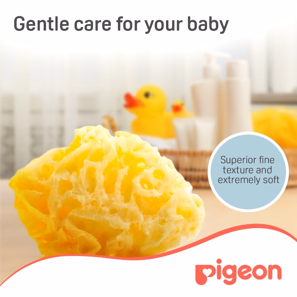 Pigeon Natural Sponge Large 2