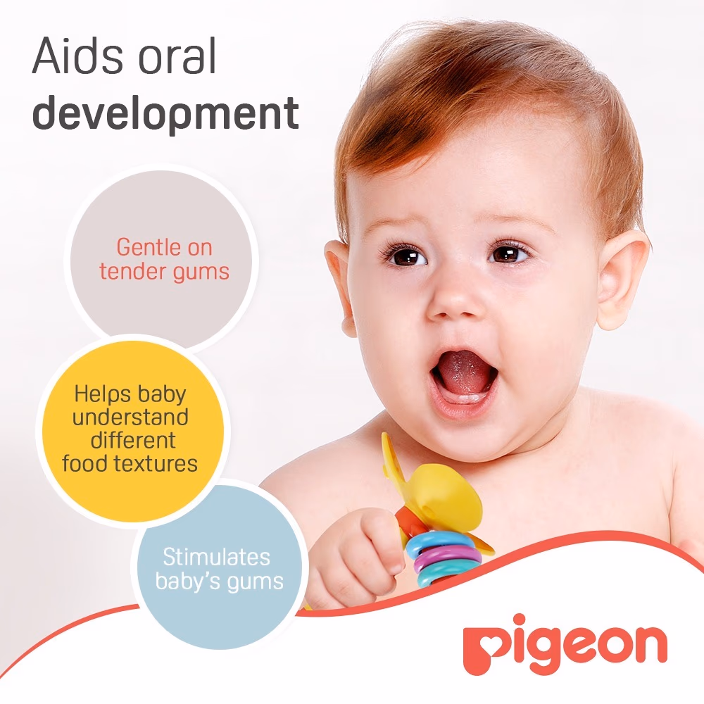 Pigeon Training Teether 4+ Months 13666 2