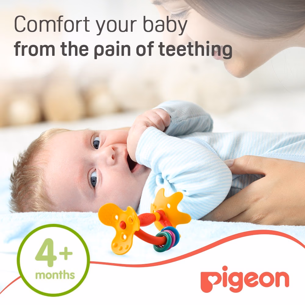 Pigeon Training Teether 4+ Months 13666 3