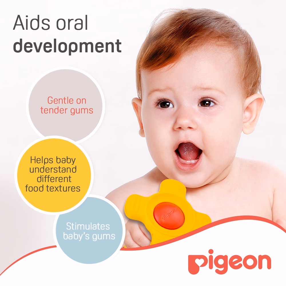 Pigeon Training Teether 7+ Months 13667 4