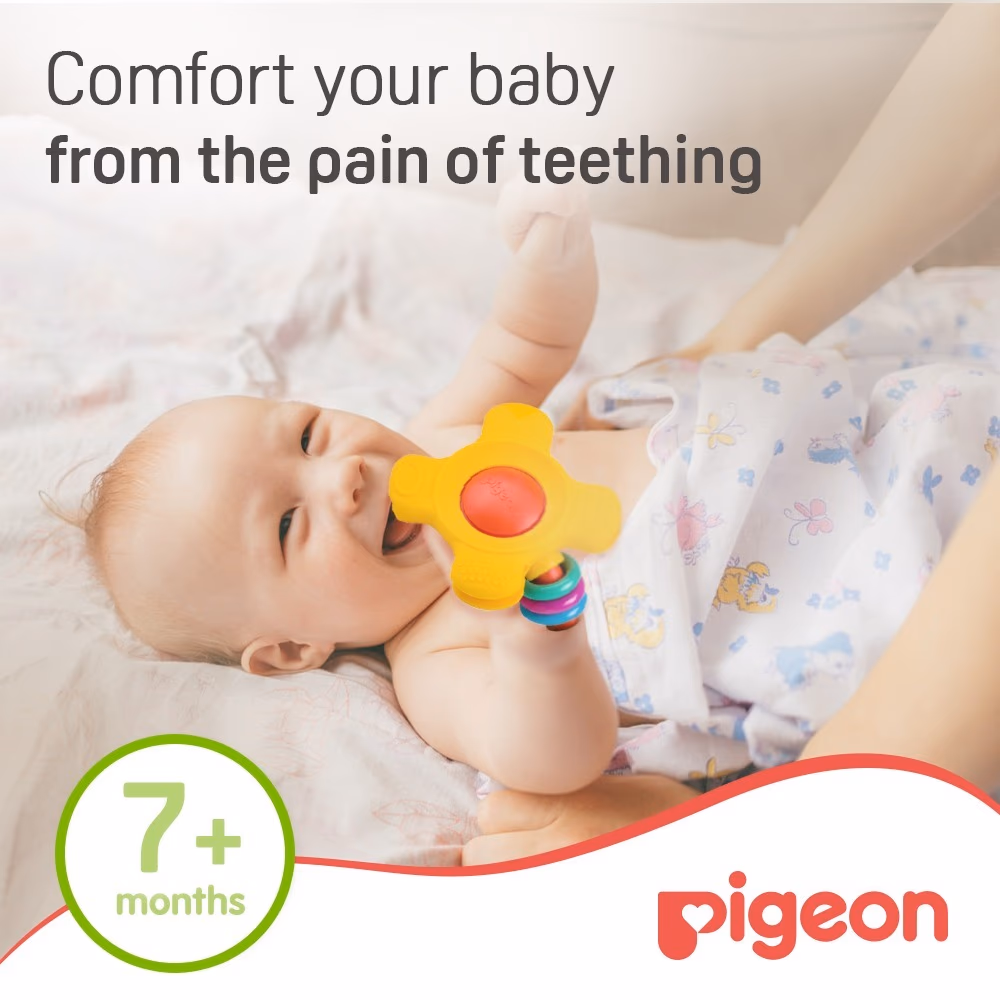 Pigeon Training Teether 7+ Months 13667 2