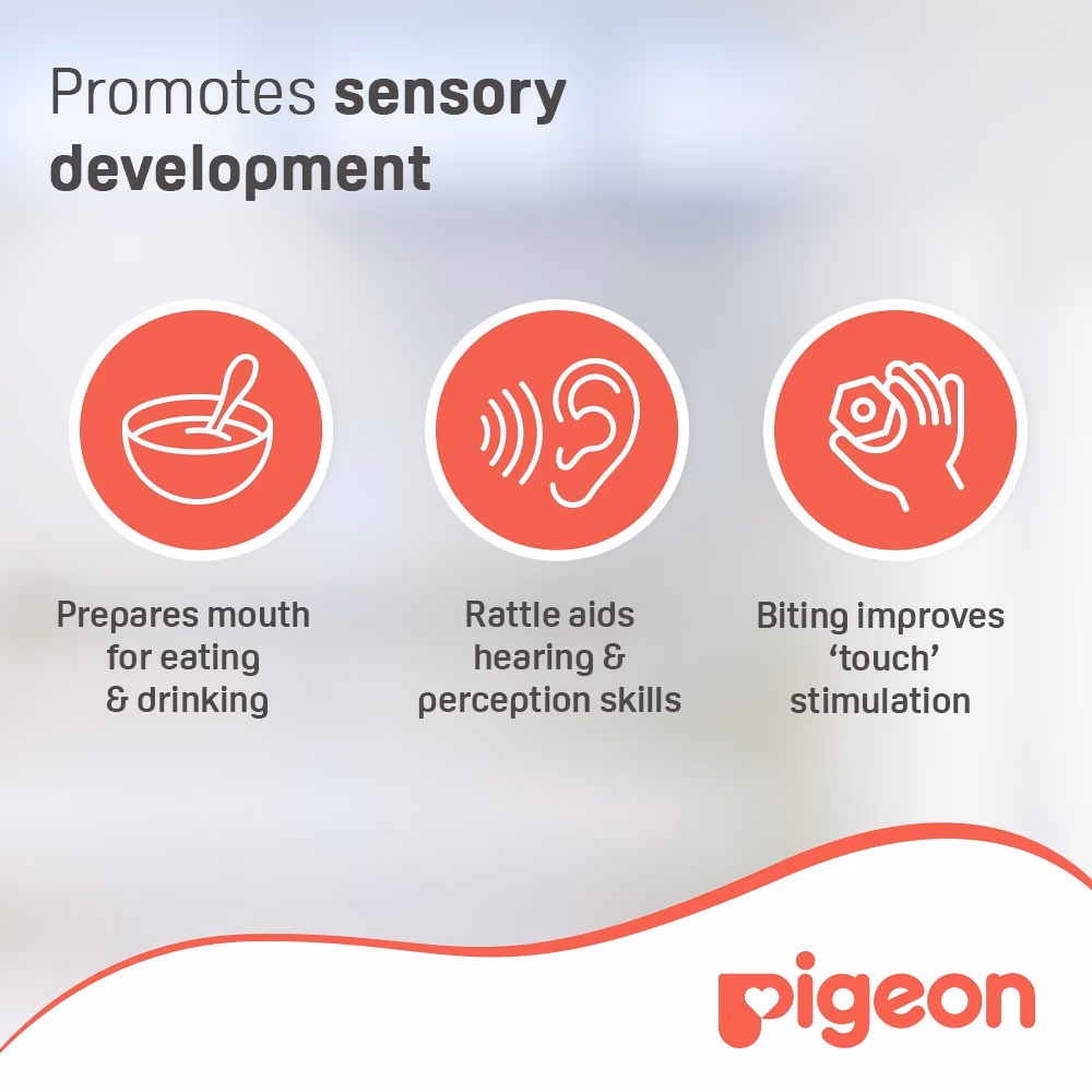 Pigeon Training Teether 7+ Months 13667 5