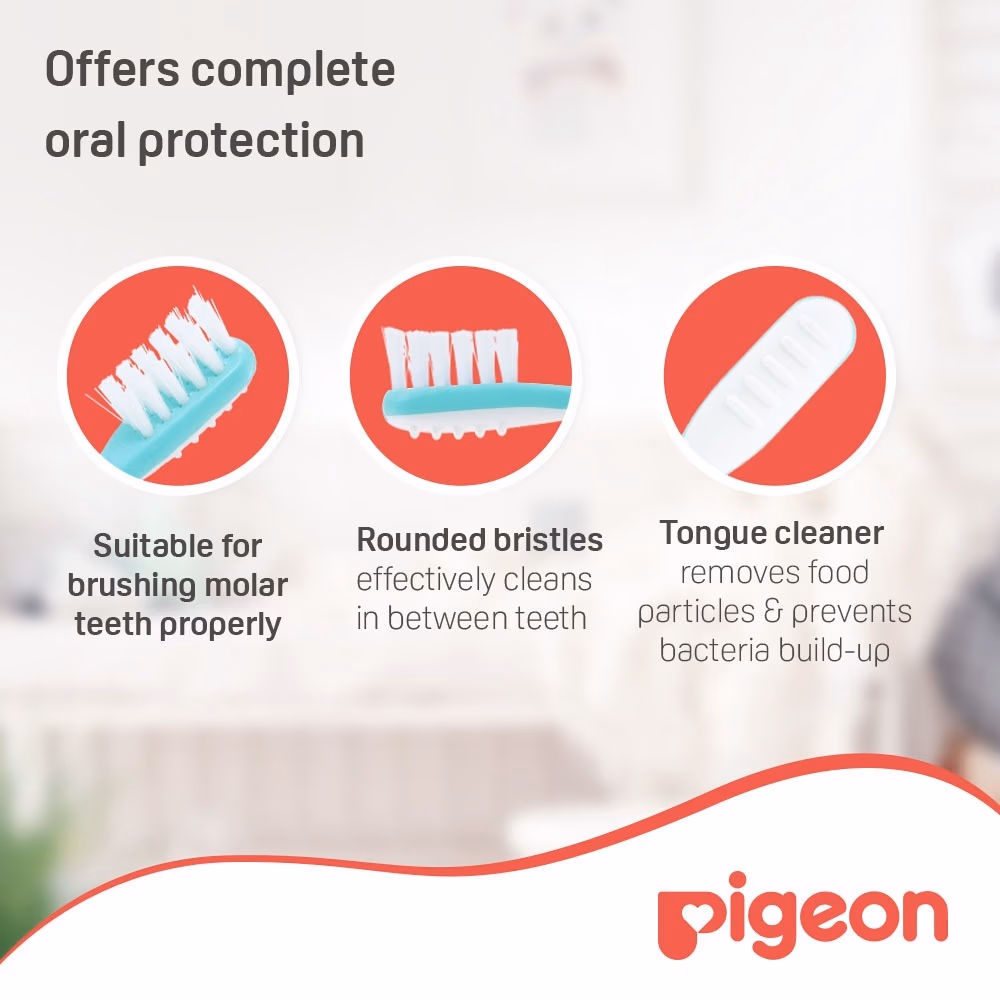 Pigeon Tooth Brush Large 2