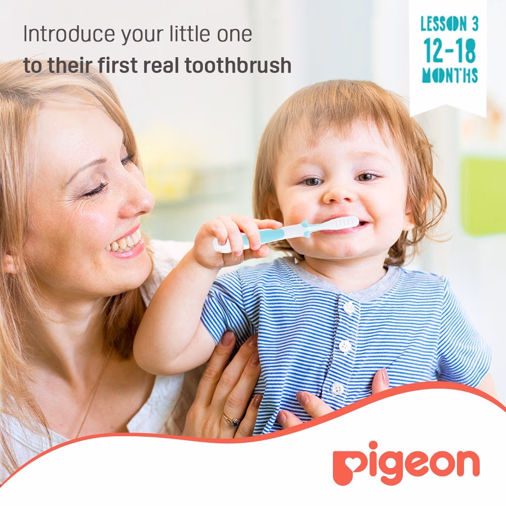 Pigeon Tooth Brush Large 3