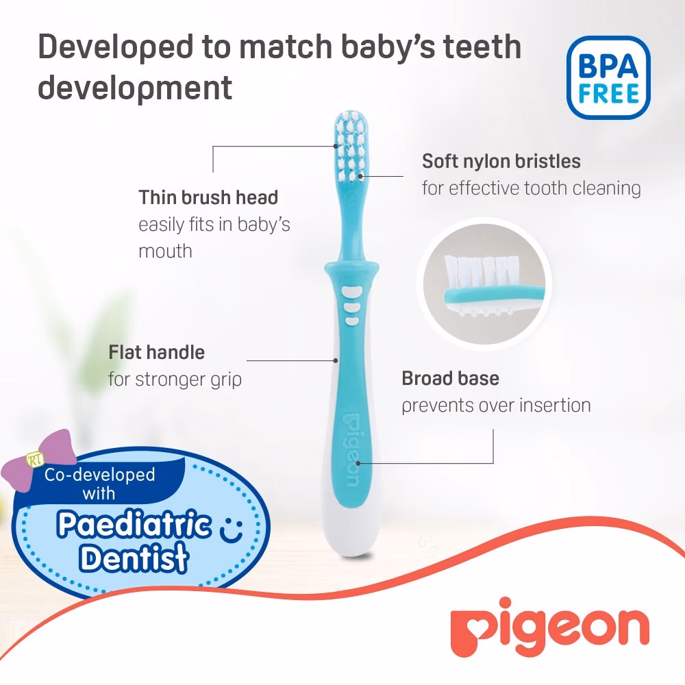 Pigeon Tooth Brush Large 4