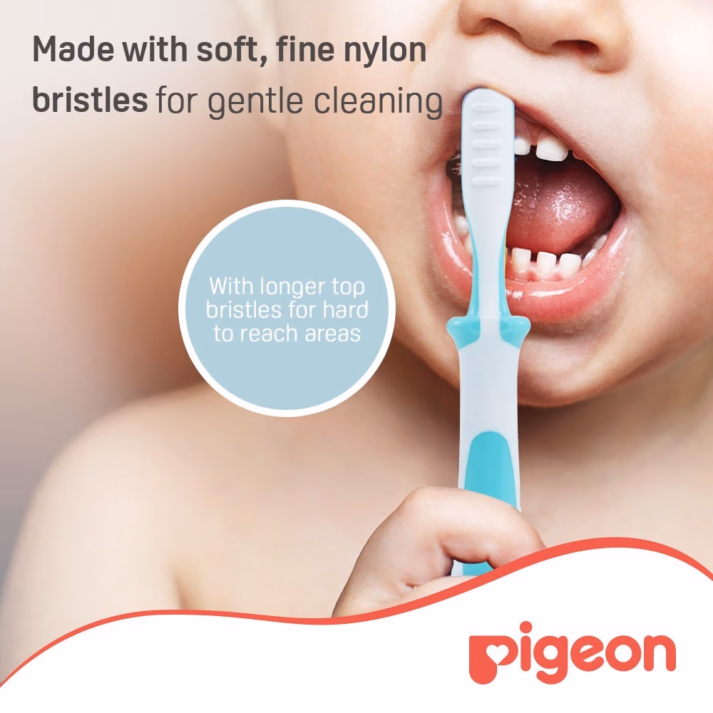 Pigeon Tooth Brush Large 5