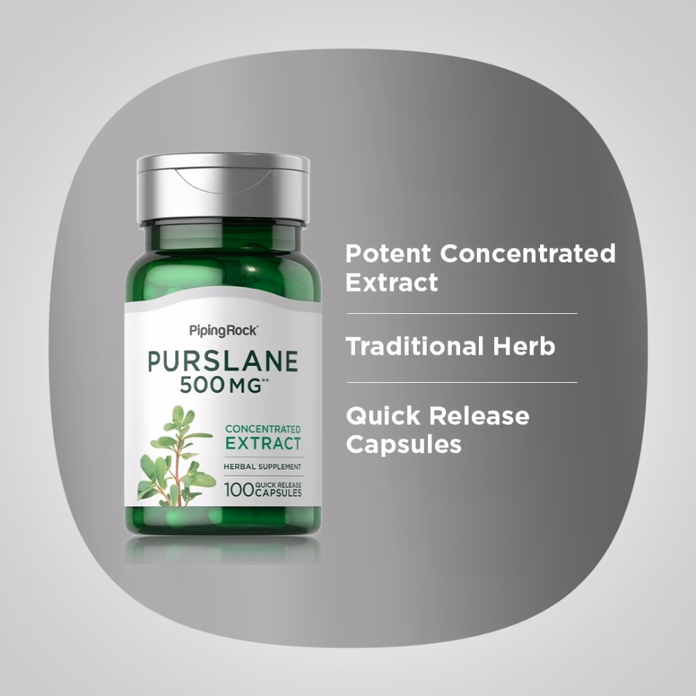 Piping Rock Purslane 500MG 100 Caps 4